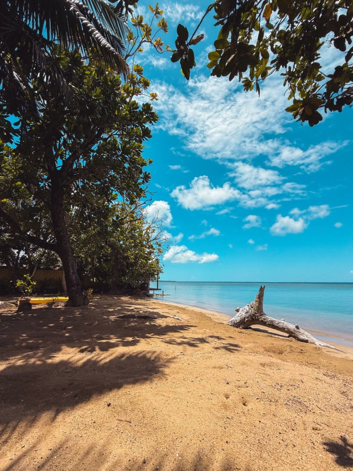 Private white sand beach in front of Villa Tamanu, Villa Mitirapa, Tahiti